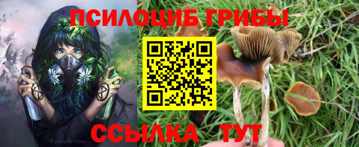 Саров  Галлюциногенные грибы мухоморы  Вход с VPN 