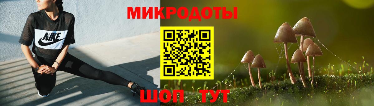 Псилоцибиновые грибы Cubensis Саров